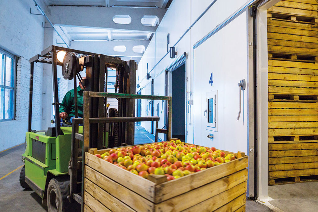 Stationäre Gaswarnanlagen von MSR-Electronic für Reifekammern