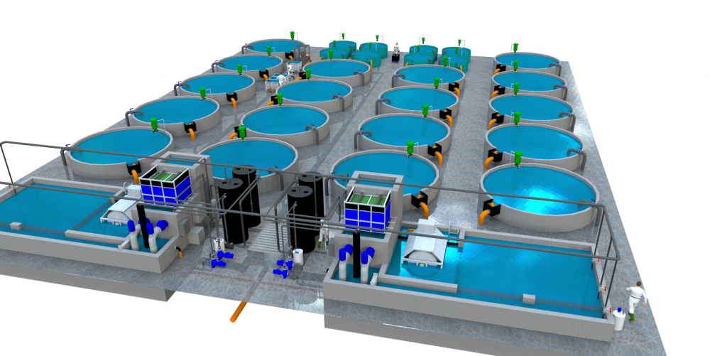 Kreislaufanlage für die Aquakultur